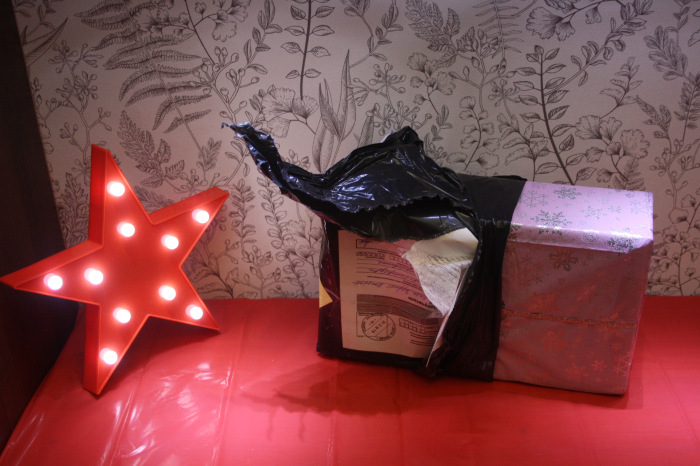 Анонимный дед Мороз 2019 — Новости конкурсов: план на год (фото 7)