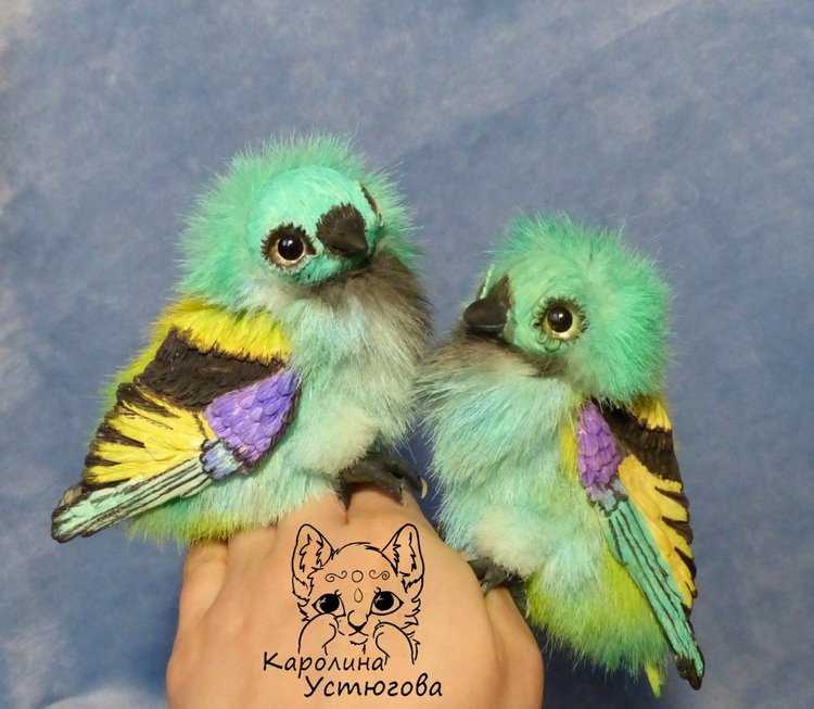 Зеленоголовая танагра, чудо птичка