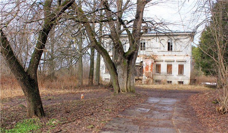 Тверской "Луксор" — Куклы Meadow dolls (Медовушки): BJD (БЖД) (фото 2)