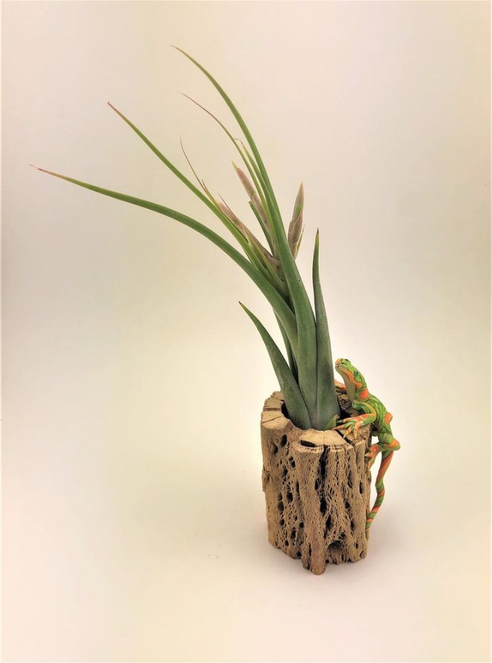 Sandysmallwonder - Авторские скульптуры из полимерной глины by Sandy Lehman - ч.1