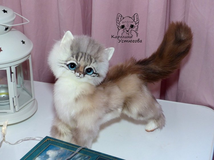 Котенок породы : Невский Маскарадный, окрас сил тэбби пойнт