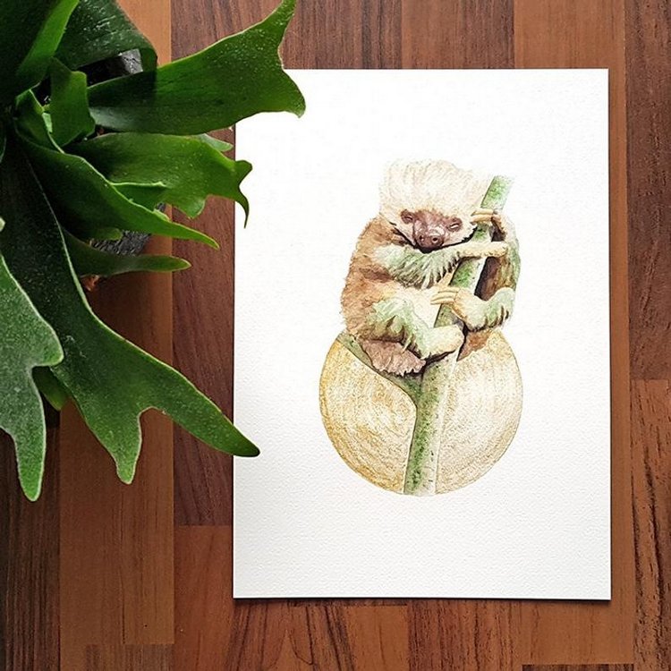 SnailMaidenStudio - Акварельные иллюстрации маленьких живых существ