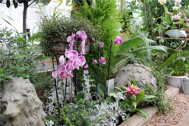 Тверской Ботанический Сад, продолжение | Бэйбики Тверской Ботанический Сад, продолжение