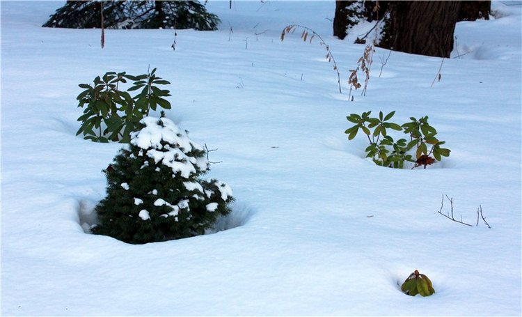 Тверской Ботанический Сад, заключительная часть