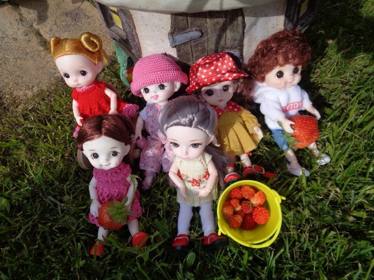 Любимки в деревне — Куклы Baboliy (Баболи