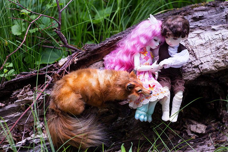 Сказки Волшебного Леса. Часть 1