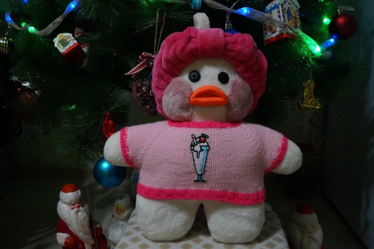 Агаша сшила подарок для сестры на новый год и купальник для Свег LOL OMG