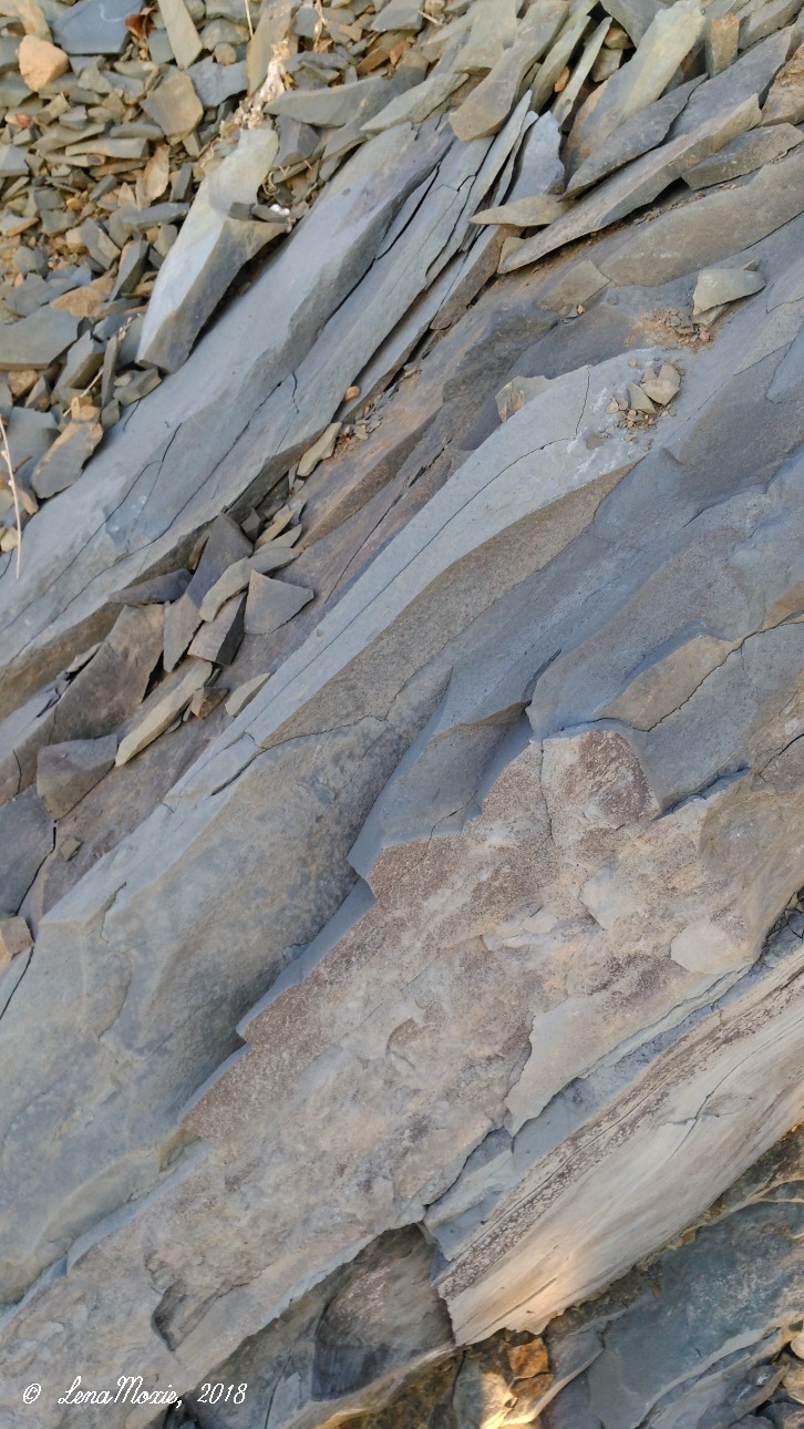 Kidz' тур. Юлино лето — Куклы Kidz'n'Cats (Соня Хартман): шарнирные 46 см