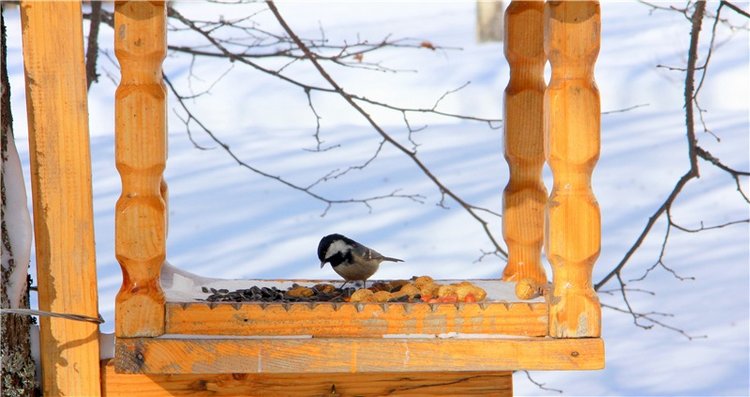 Снежный Март — Туризм и путешествия: фотоотчеты из поездок