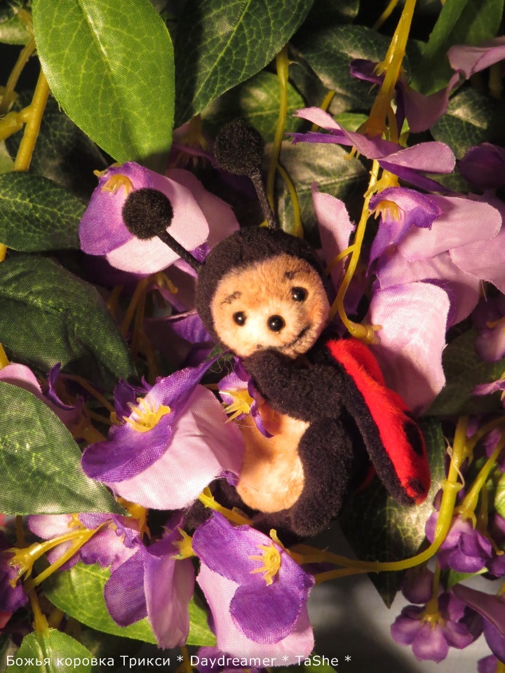 Трикси. Милая непоседа — Авторские мишки Тедди и друзья: фото