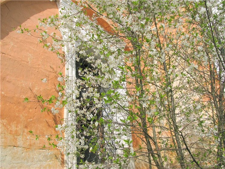 Усадьба Чукавино, Тверская область