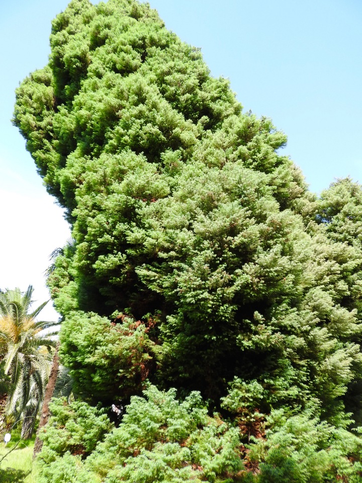 Краснодарский Край, Сочи-Адлер, Санаторий «Южное Взморье»