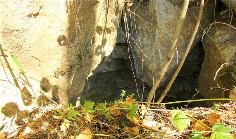 Старицкая Швейцария. Старицкие пещеры, д. Толпино, заключительная часть