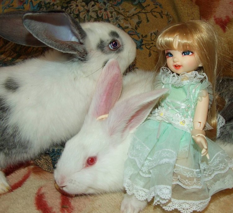 История Алиски 2 - Пасхальная, с белыми кроликами) | Бэйбики История Алиски 2 - Пасхальная, с белыми кроликами)