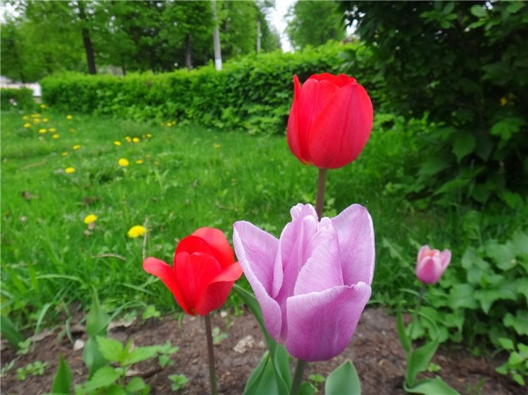 Милый мой город. Прогулка по Твери, заключительная часть