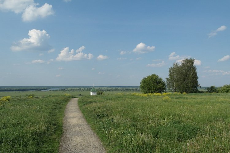 Есенинские тропинки — Куклы Kidz'n'Cats (Соня Хартман): шарнирные 46 см (фото 2)