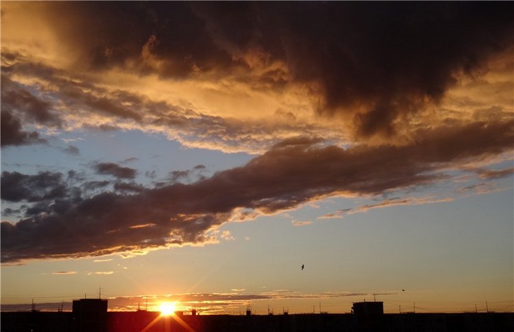 Бенни. Презентация участницы на Конкурс Кукольной Красоты Мисс Бэйбики 2019 (фото 3)