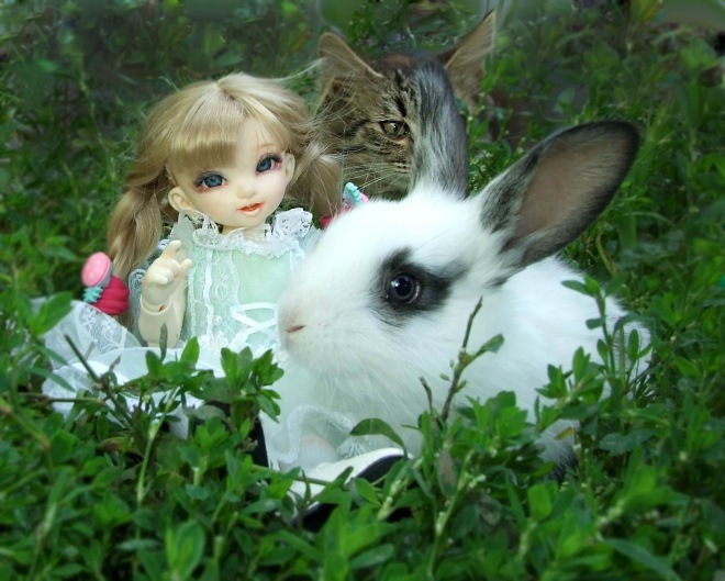 Кролики превращаются... превращаются... А котик улыбается) (фото 6)