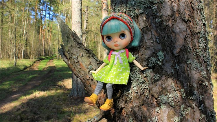 Долгая дорога к Волге. Custom Blythe Doll UFO Go Go Takara