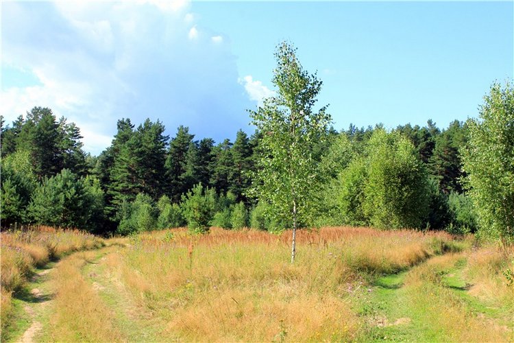 Эдельвейс на пленэре — Антикварные куклы ABG (Alt