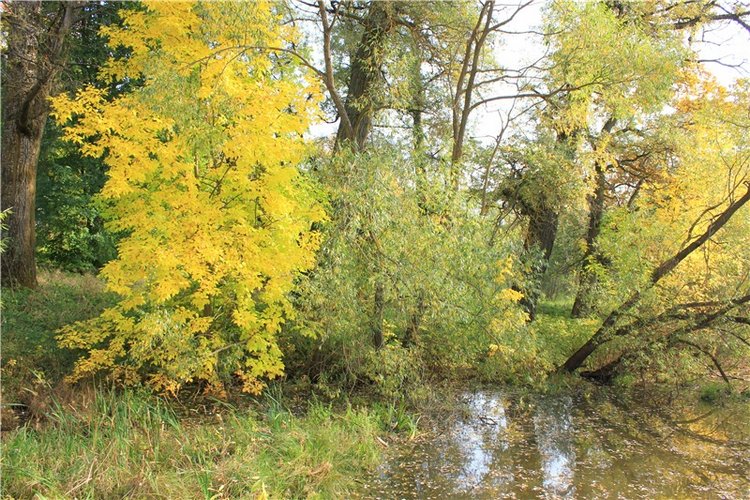 Путешествие Dal Hangry в Грузины