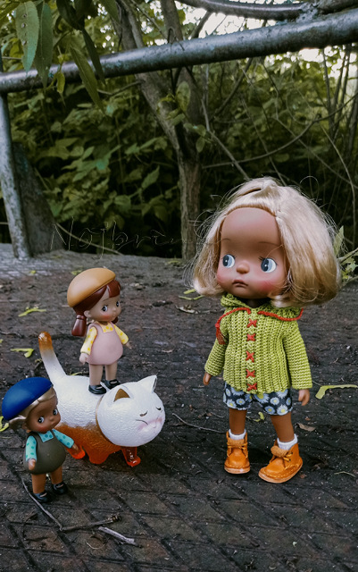 Holala Pipita Peter — Куклы Holala (Холала) от Jenny Fairytown: Pipita