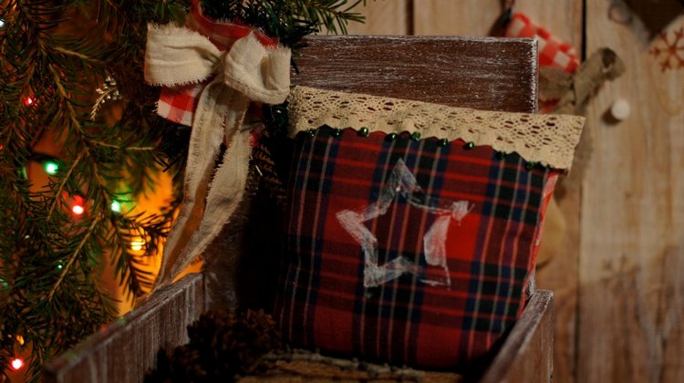 Новогодний вечер — Другие хобби и увлечения: сад (фото 6)