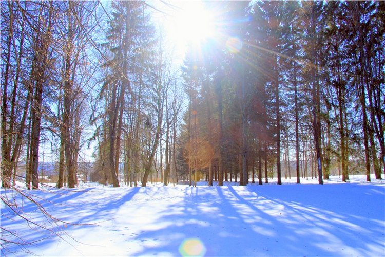 Снежный Март — Туризм и путешествия: фотоотчеты из поездок