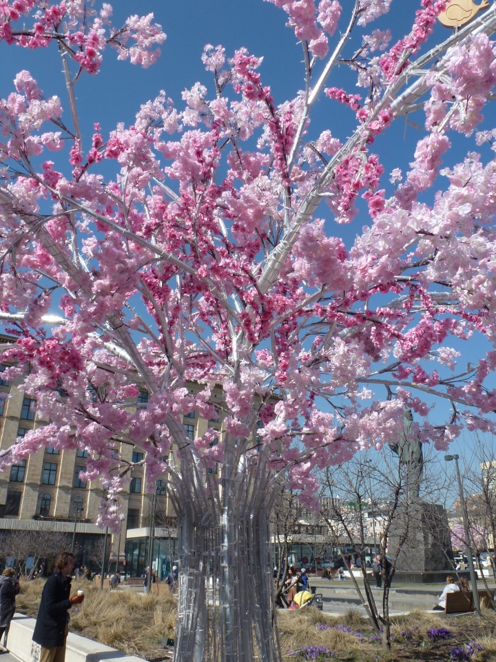 Мой родной любимый город, выставка Мишек и немного о Москве (фото 3)