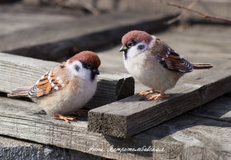 Воробушки — Валяные игрушки из шерсти: сухое валяние