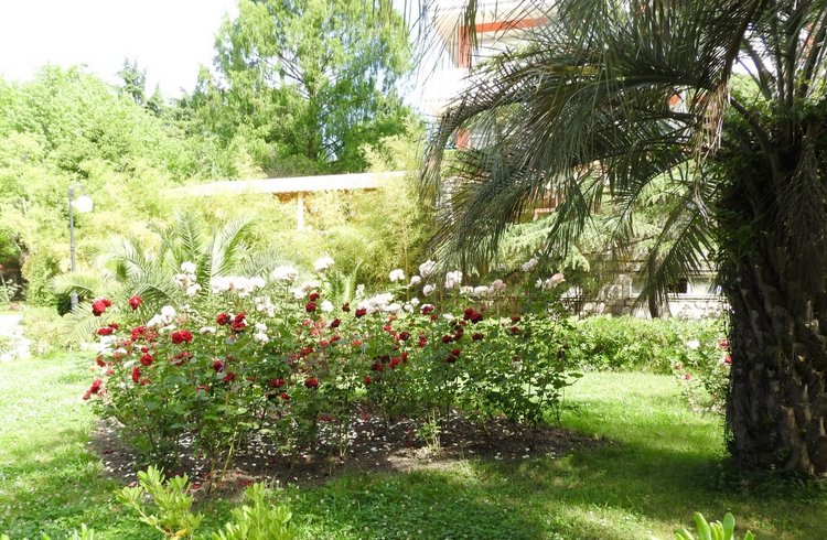 Краснодарский Край, Сочи-Адлер, Санаторий «Южное Взморье»