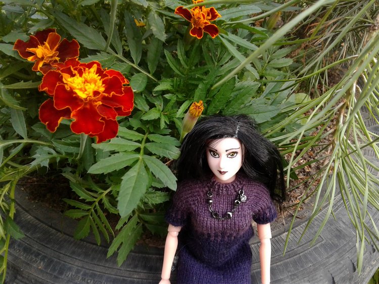 Моя новенькая: Донна Розье. Румбокс: швейная мастерская (фото 5)