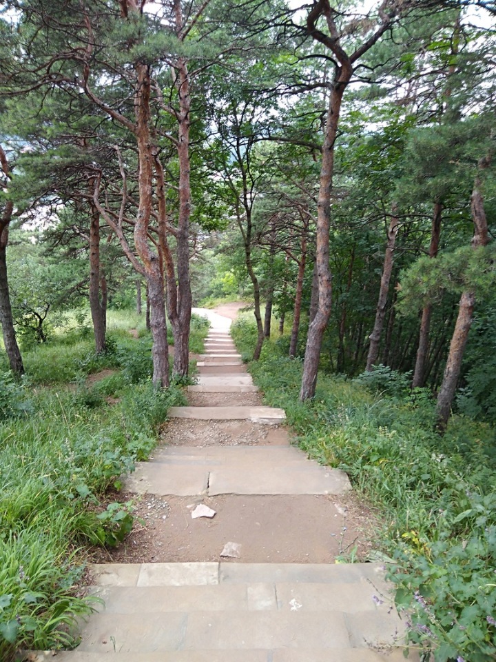 Возвращение Хелены в Кисловодск: опять за своё