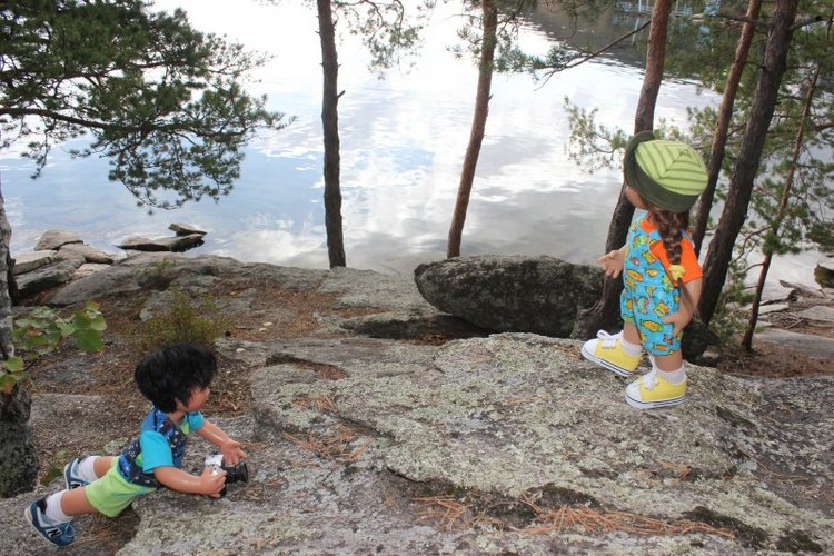 Базовичок обыкновенный. Дикий, но симпатичный | Бэйбики Базовичок обыкновенный. Дикий, но симпатичный (фото 2)