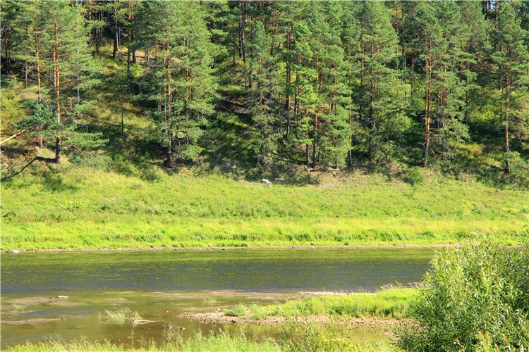 Старицкая Швейцария. Путешествие Мии. Minifee Miyu FairlyLand | Бэйбики Старицкая Швейцария. Путешествие Мии. Minifee Miyu FairlyLand