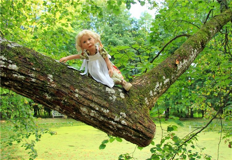 Августовская прогулка в Берново. Zwergnase Mischa