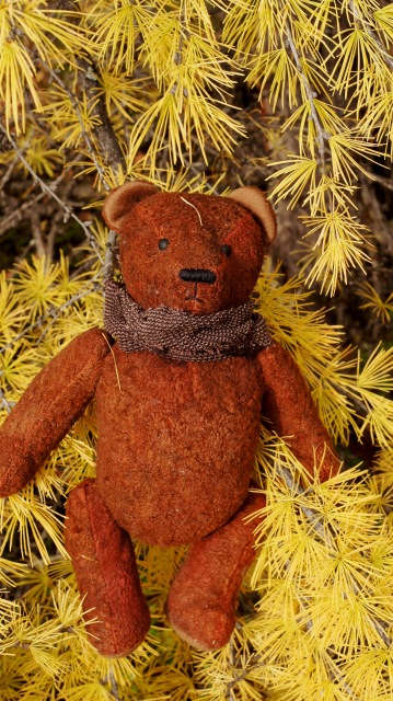 Осенний натюрморт — Другие хобби и увлечения: сад (фото 4)