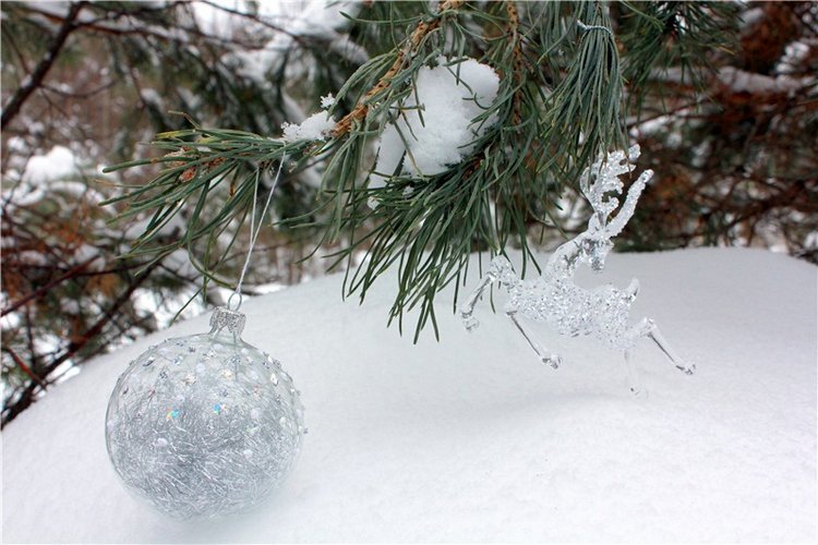 Рождественские гуляния, часть вторая. Zwergnase Mischa