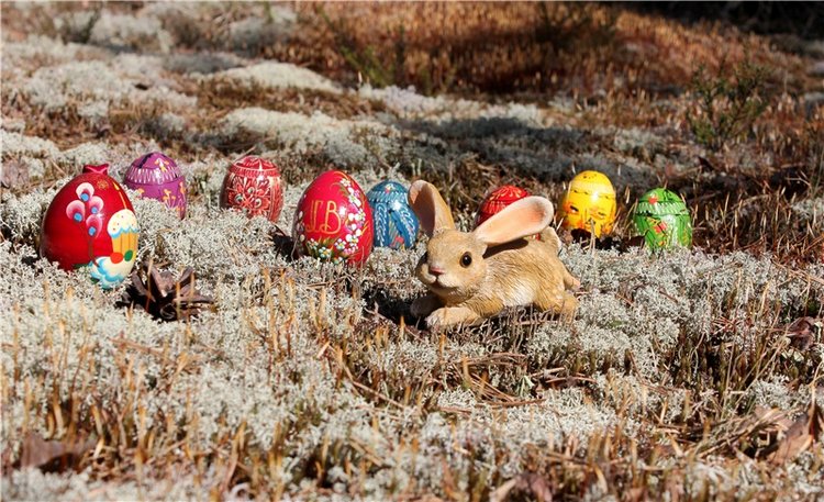 Джиджи на Орше. BJD Gigi от Meadow Dolls