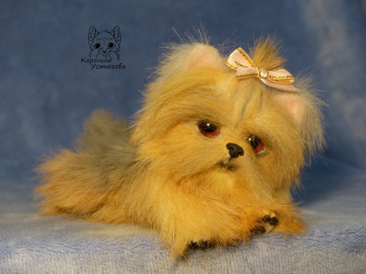 Щенок Йоркширского терьера (фото 7)