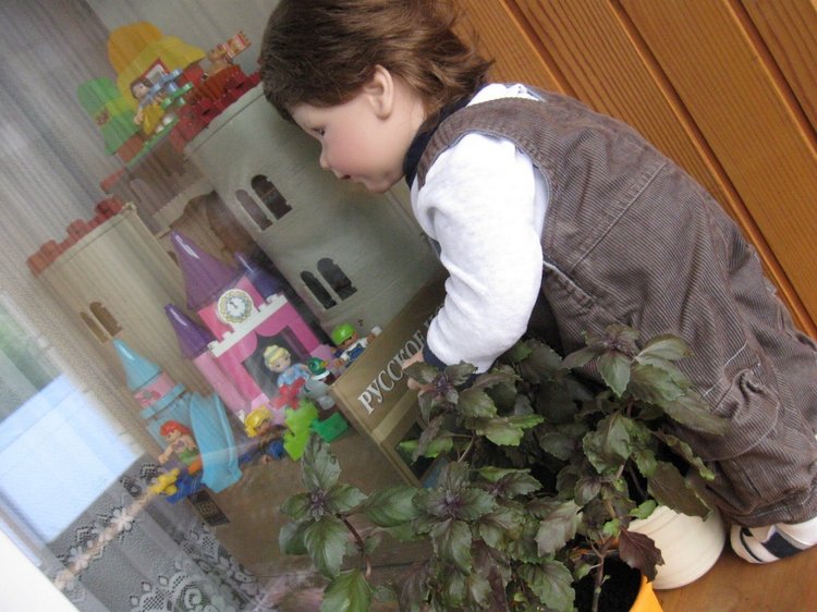 Было нас двое близнецов когда-то