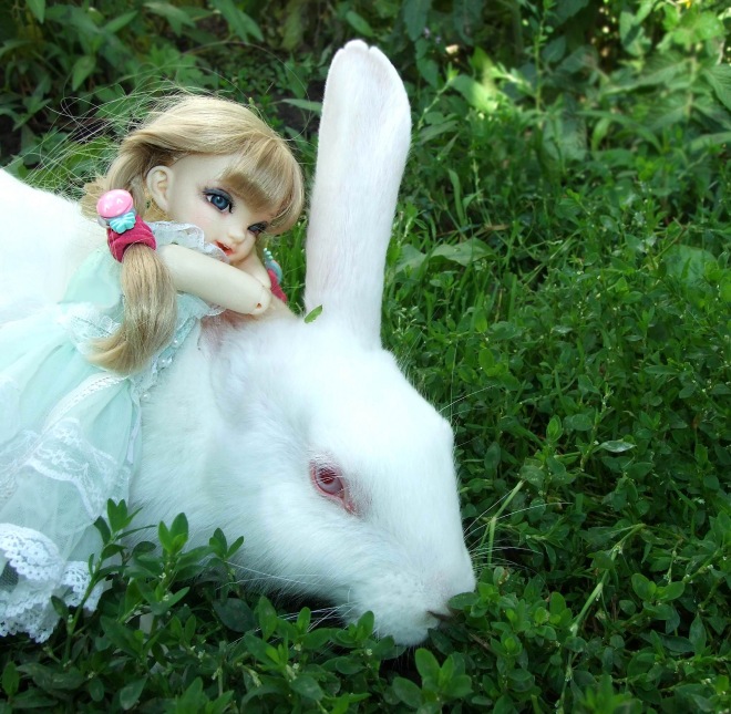 Кролики превращаются... превращаются... А котик улыбается)