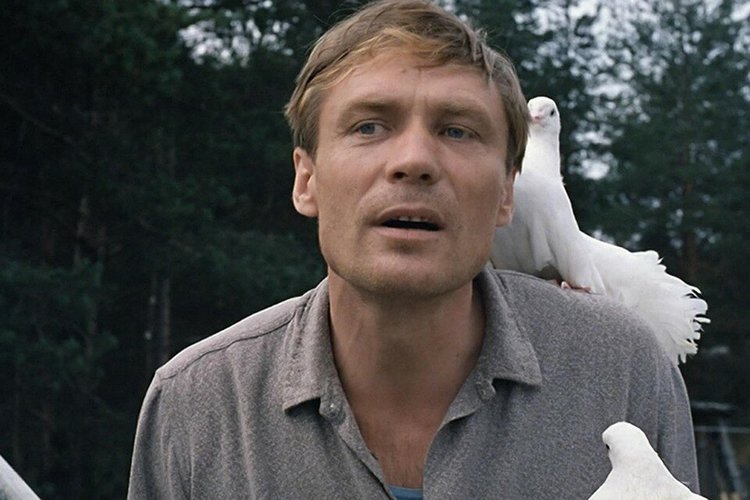 Александр Михайлов — Культура