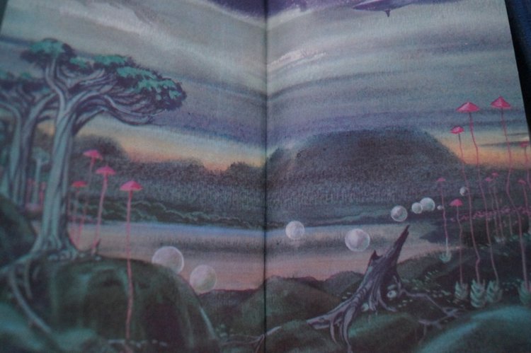 В каникулы особенно хочется читать. Книги моего детства и юности