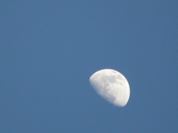 До пандемии. Путешествие по Италии, часть 2 (вечерняя Пиза)