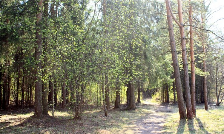 Савватьева Пустынь, Тверская область (фото 6)