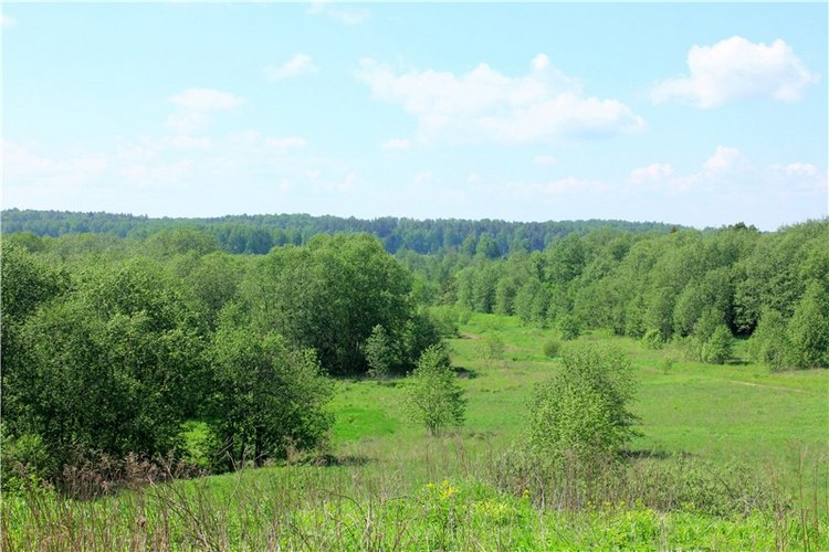 Эля в Иванишах. Twinkles Ella Chocolate