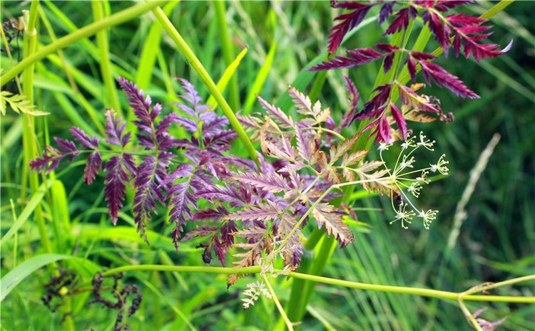 Путешествие Эли на красивый берег реки Волги