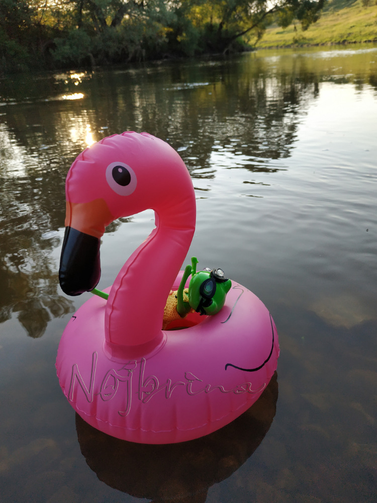 Миссис Бэйбики. Царевна - лягушка. Мастер-класс (фото 10)