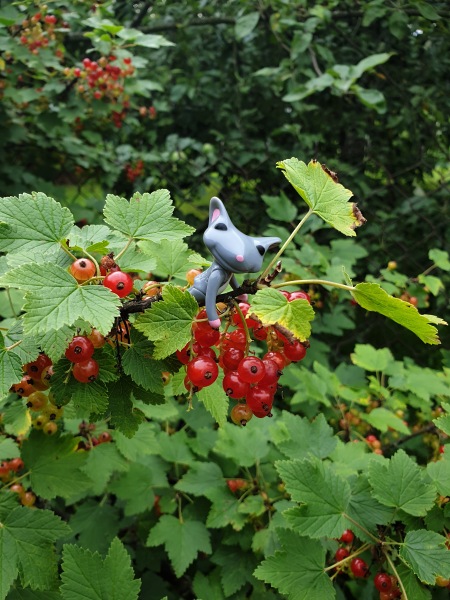 Лягушонок превращается в... мышонка